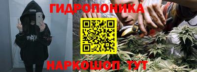 стафф Вязьма