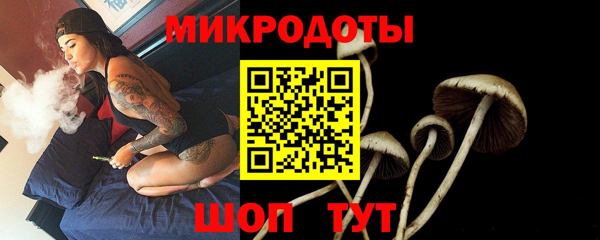 Псилоцибиновые грибы ЛСД  Вход с VPN  Галлюциногенные грибы мухоморы  Белгород 